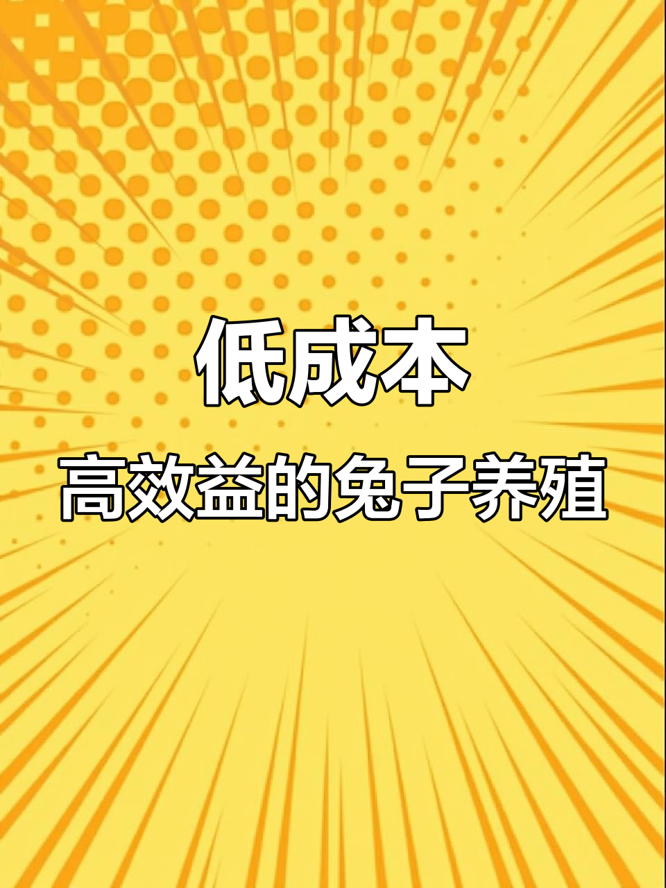 散养比利时肉兔,低成本高回报,南北皆宜