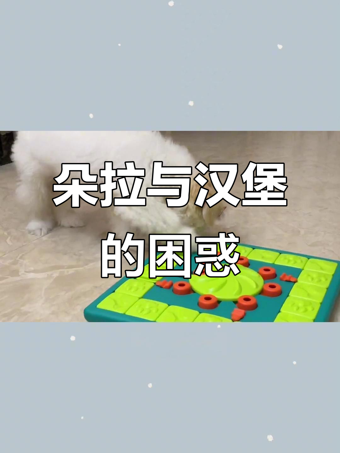 朵拉和汉堡被新玩具搞懵,益智挑战太轻松