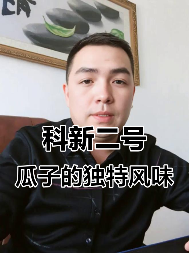 传统铁锅炒制,科新二号瓜子香脆回甜,皮薄肉酥