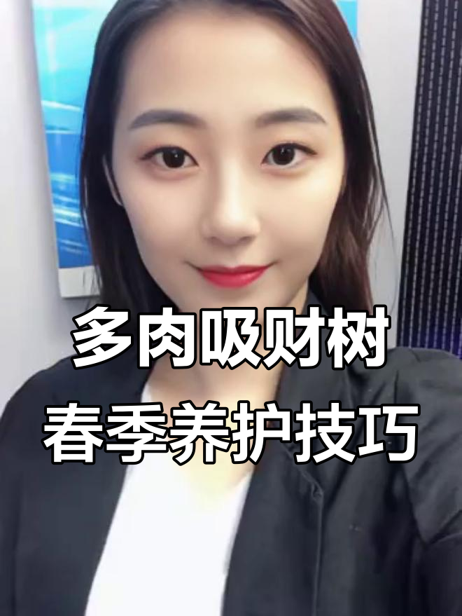 春天养好多肉吸财树,三个改变让它更健康