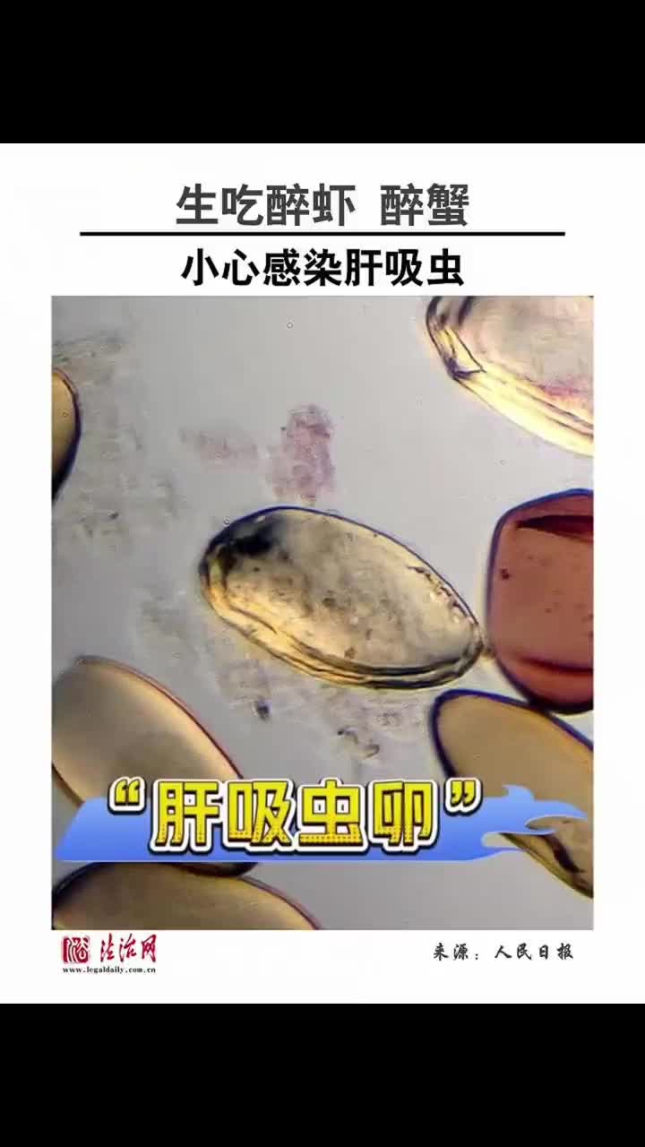 「视频」生吃醉虾、醉蟹，小心感染肝吸虫！医生郑重提醒：千万别为了一口“鲜”，生吃食物