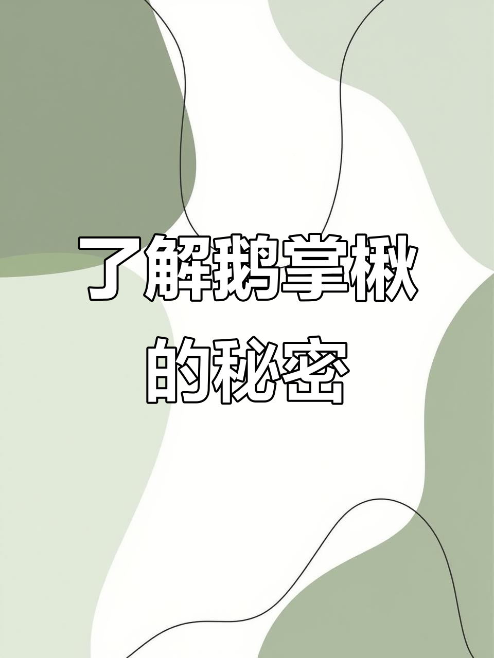 鹅掌楸：从黄马褂到郁金香树的真相