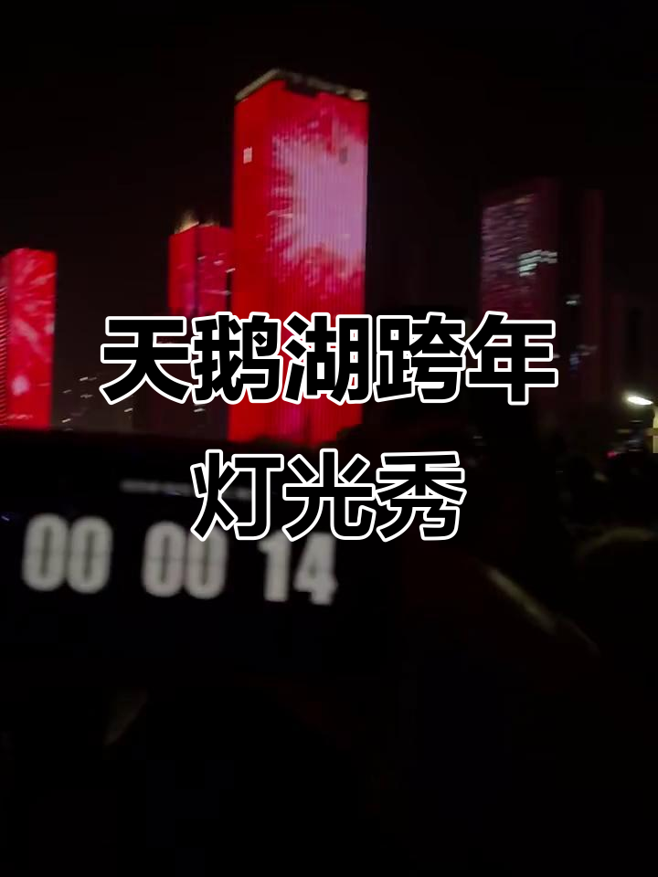 2024年12月31日天鹅湖跨年灯光秀,倒计时震撼来袭!