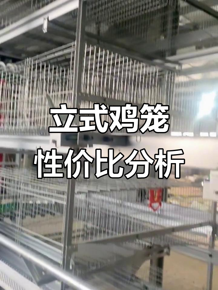 立式层叠鸡笼价格与性能全解析，如何选择最划算的配置
