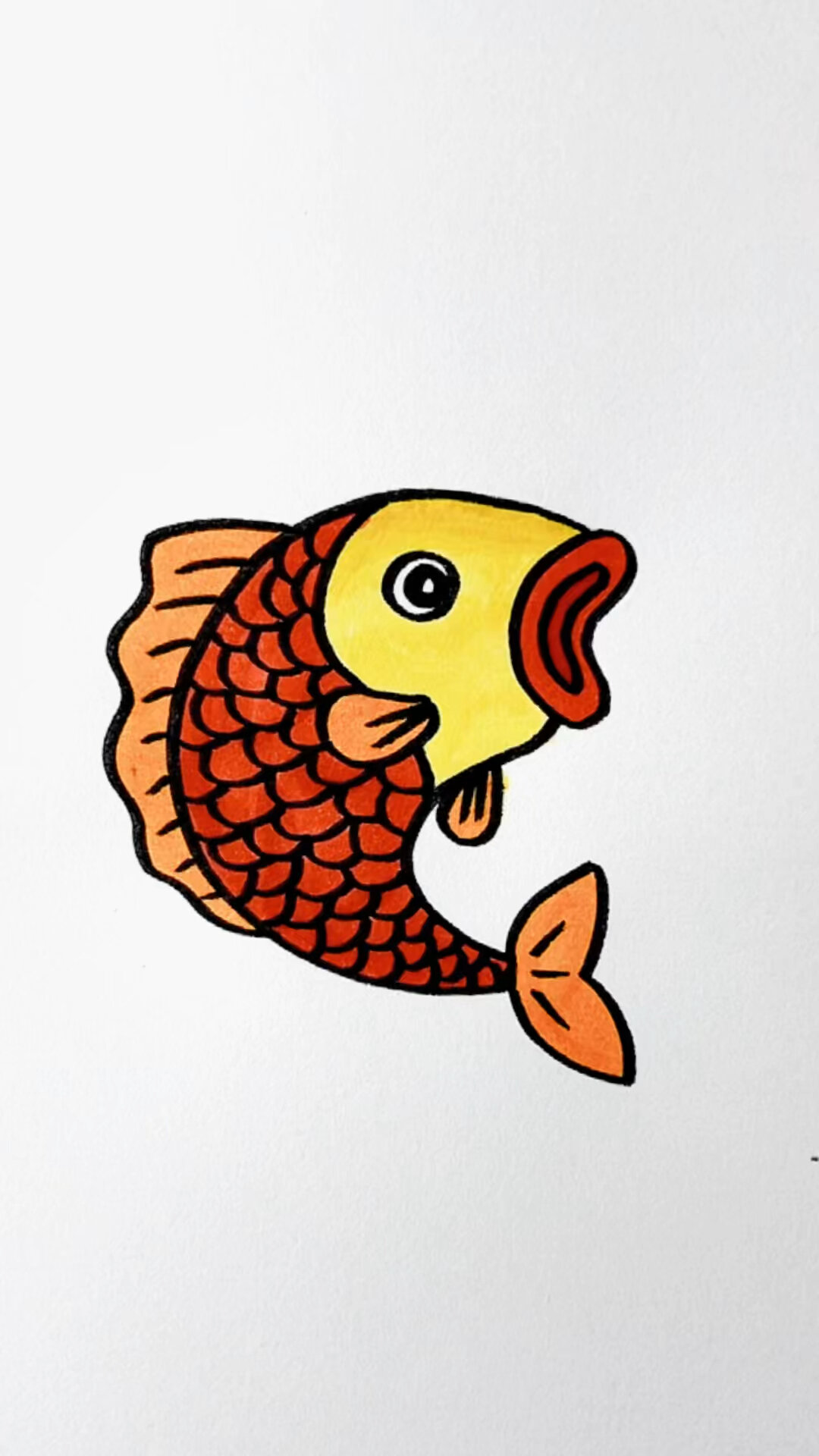 两个C画鲤鱼简笔画