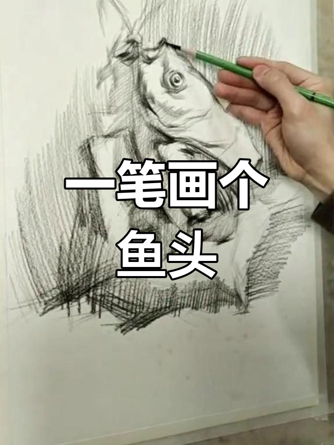 素描鱼头,简单又美味
