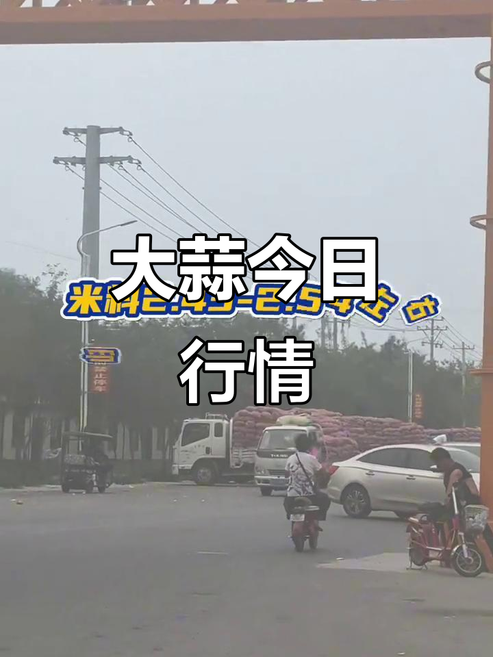 金乡大蒜价格波动,市场行情一览