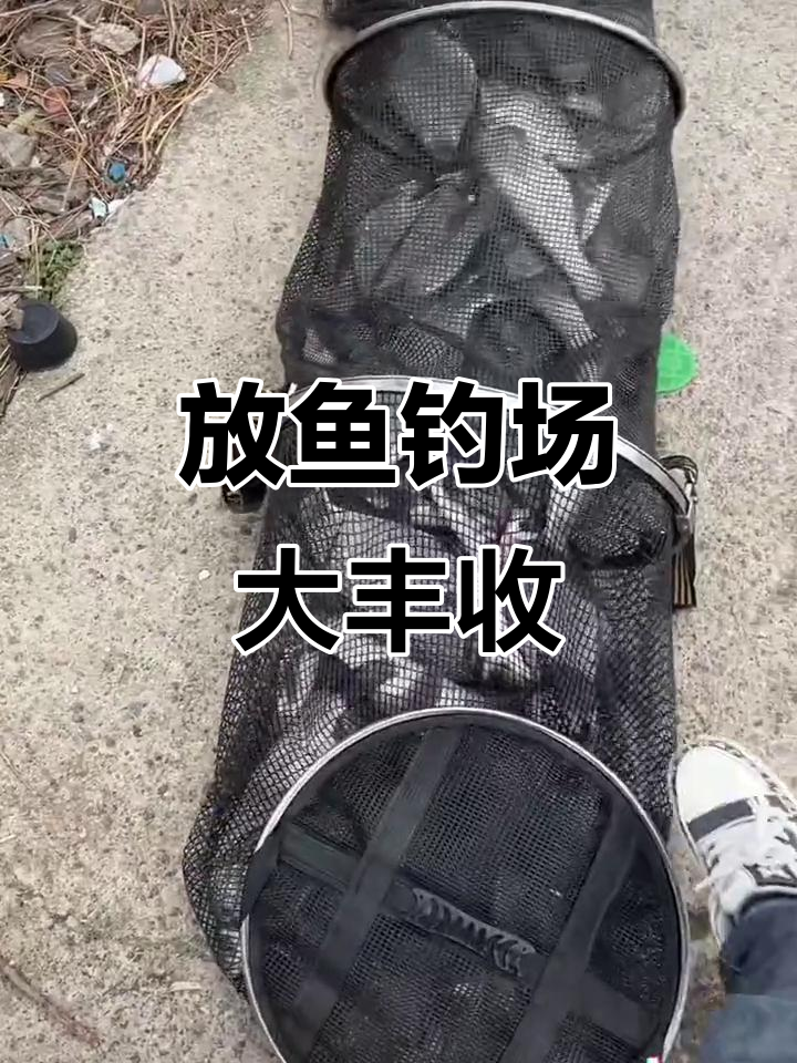 明天放鱼继续,长江鳊大丰收!