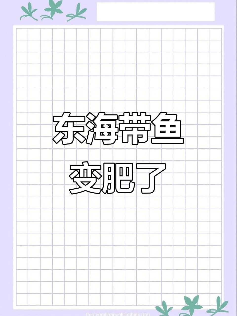 寒冬来临，东海带鱼肥美上市！海钓船捕捞新鲜美味