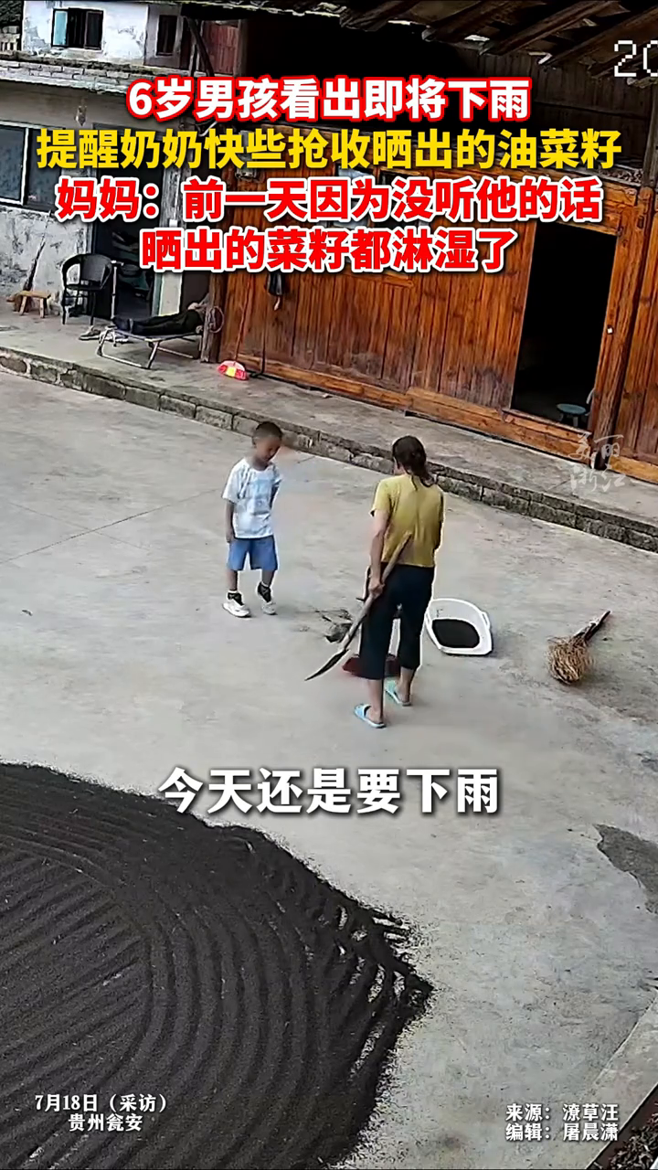 6岁男孩看出即将下雨提醒家人抢收油菜籽 快收完时刚好天降大雨