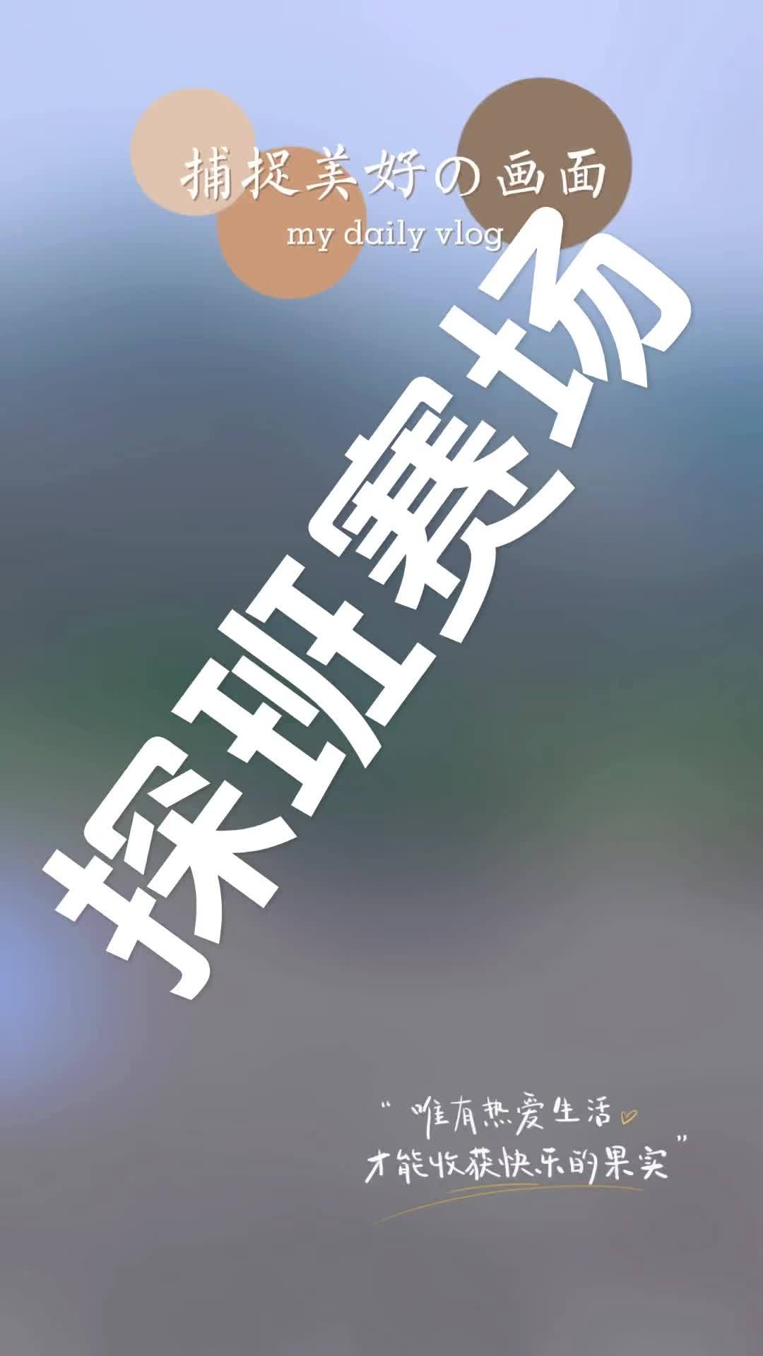 2024中国自由潜水深度公开赛 即将在象山公园开赛,工人们正在紧锣密鼓整理场地、安装广告牌