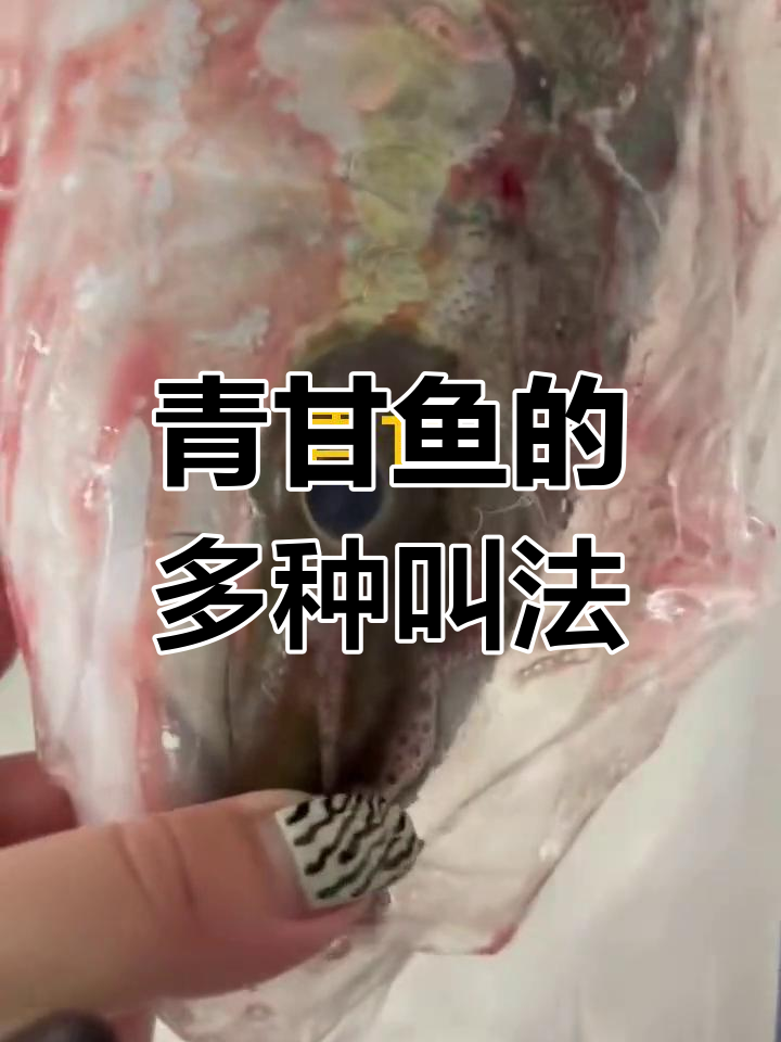 鰤鱼:多变的名称与分布