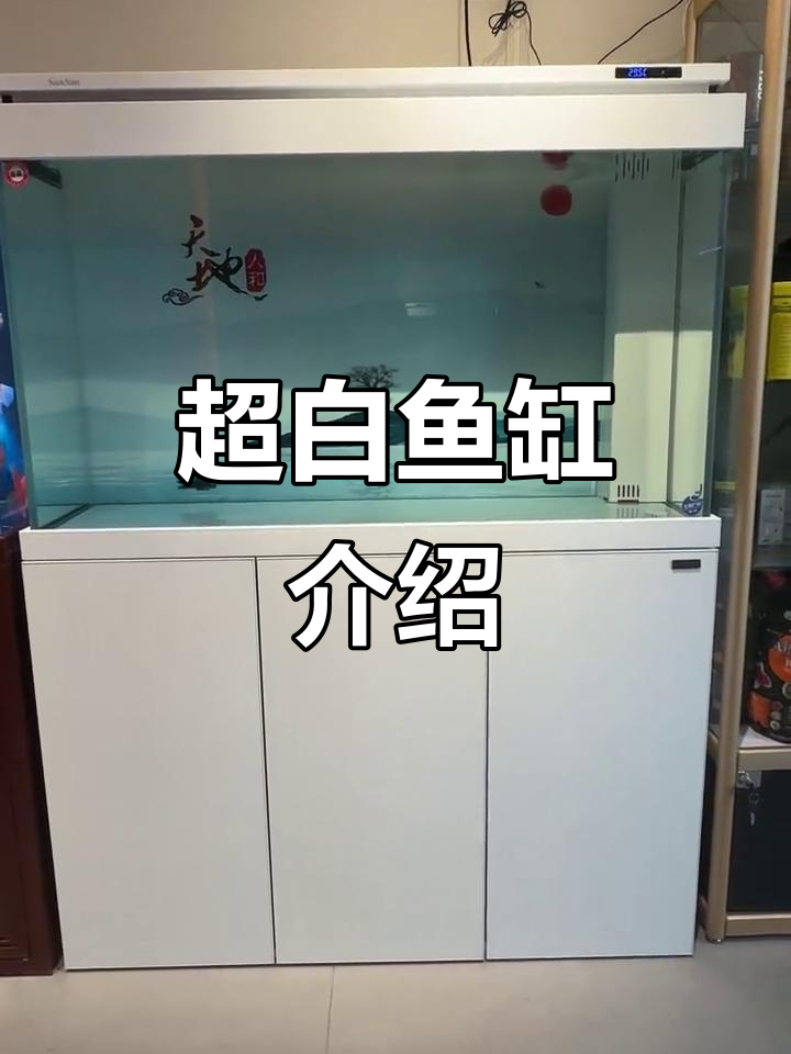 超白鱼缸介绍