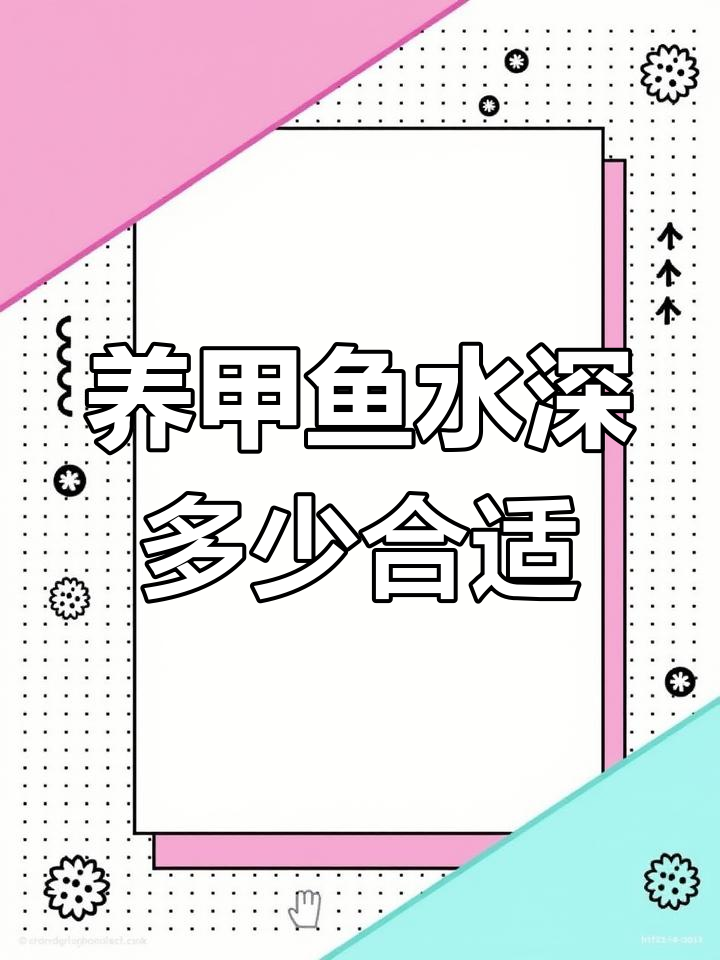 甲鱼养殖池深度设置指南