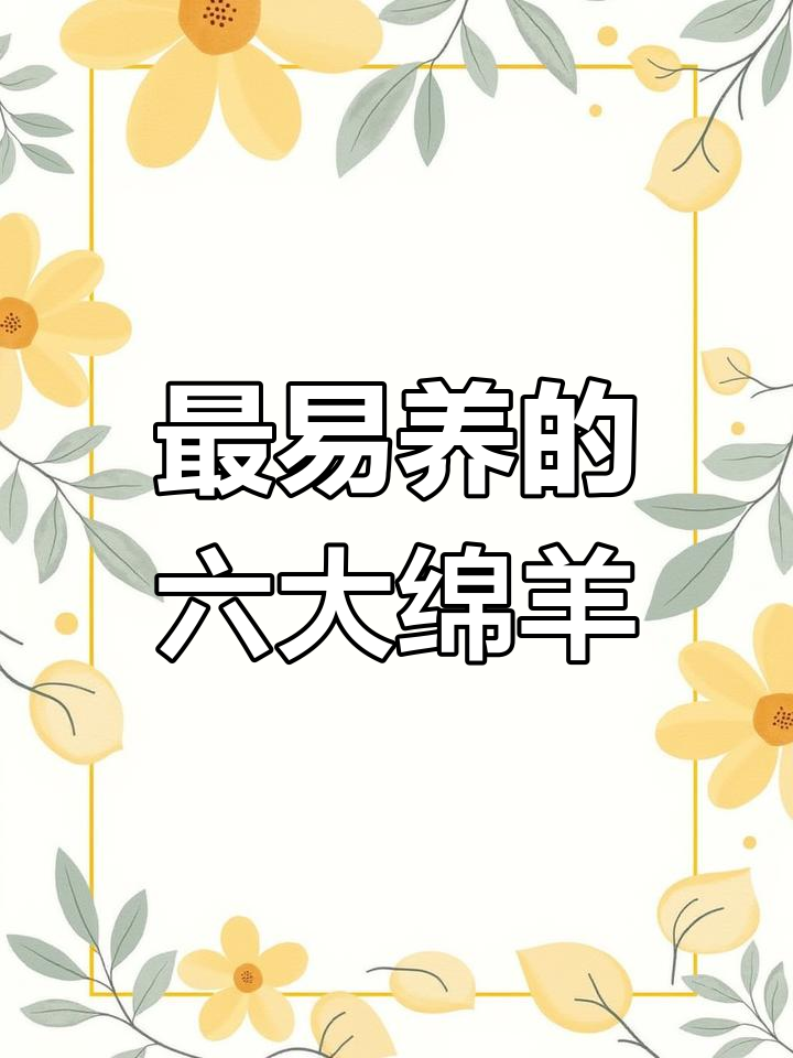 六大最适合养殖的绵羊品种,轻松致富不是梦