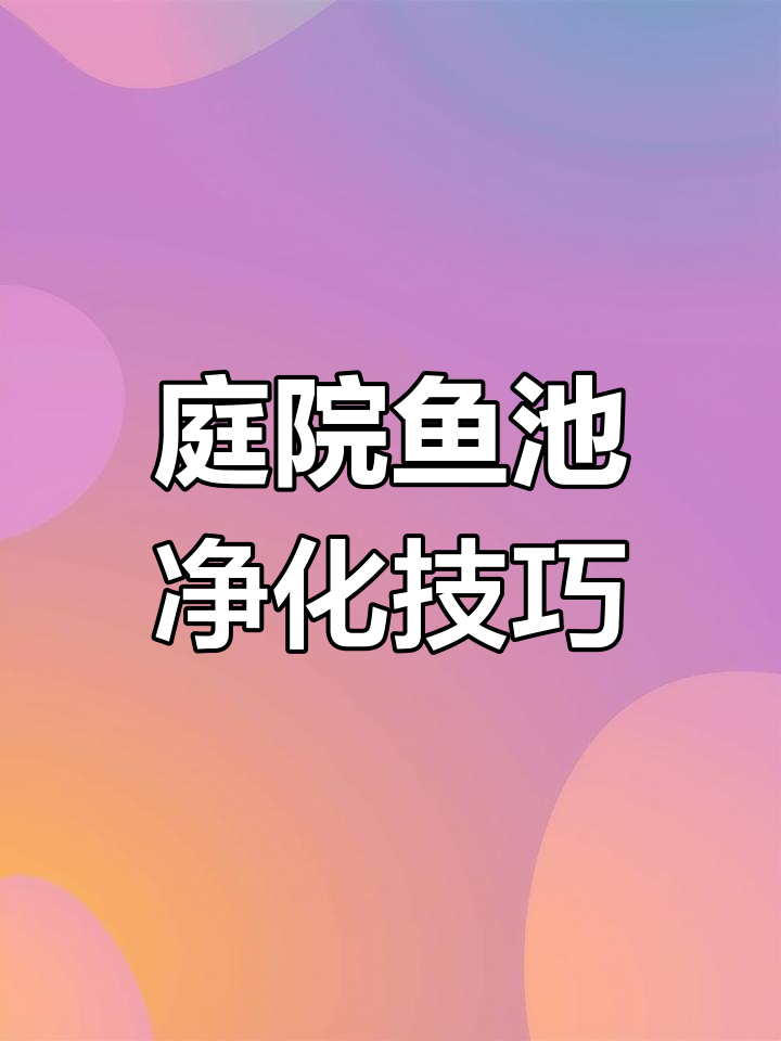 假山鱼池水处理全攻略,快速清澈无烦恼