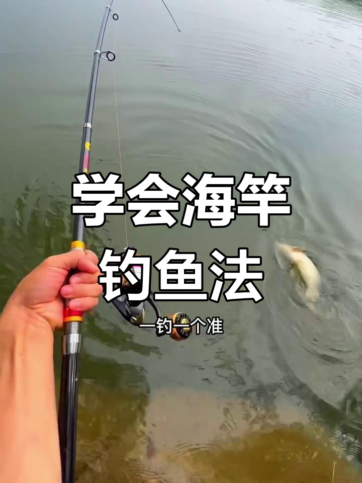 海竿钓鲤鱼技巧大揭秘,邓刚也不过如此!