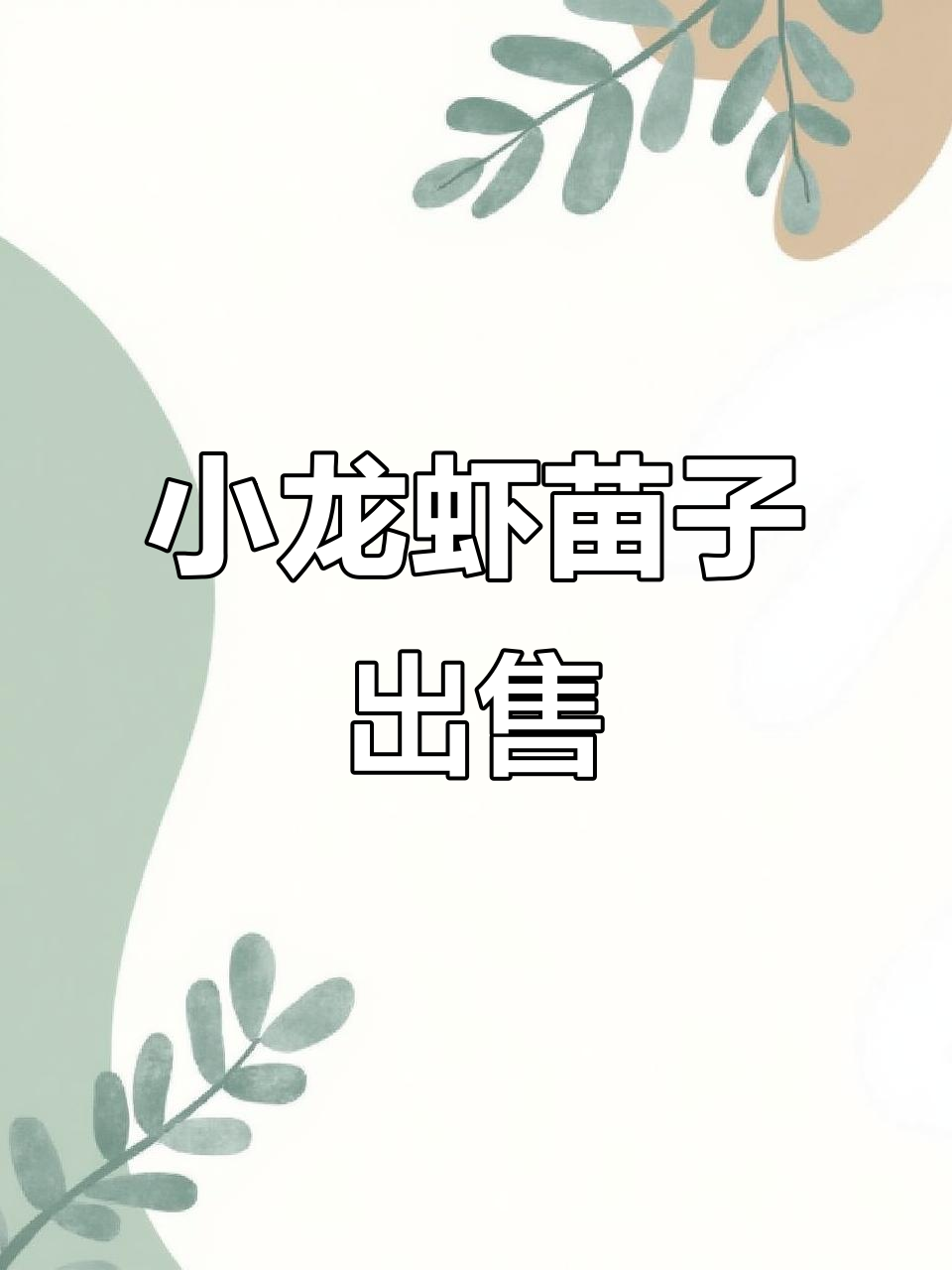 小龙虾育苗塘苗子长成,赶紧卖!