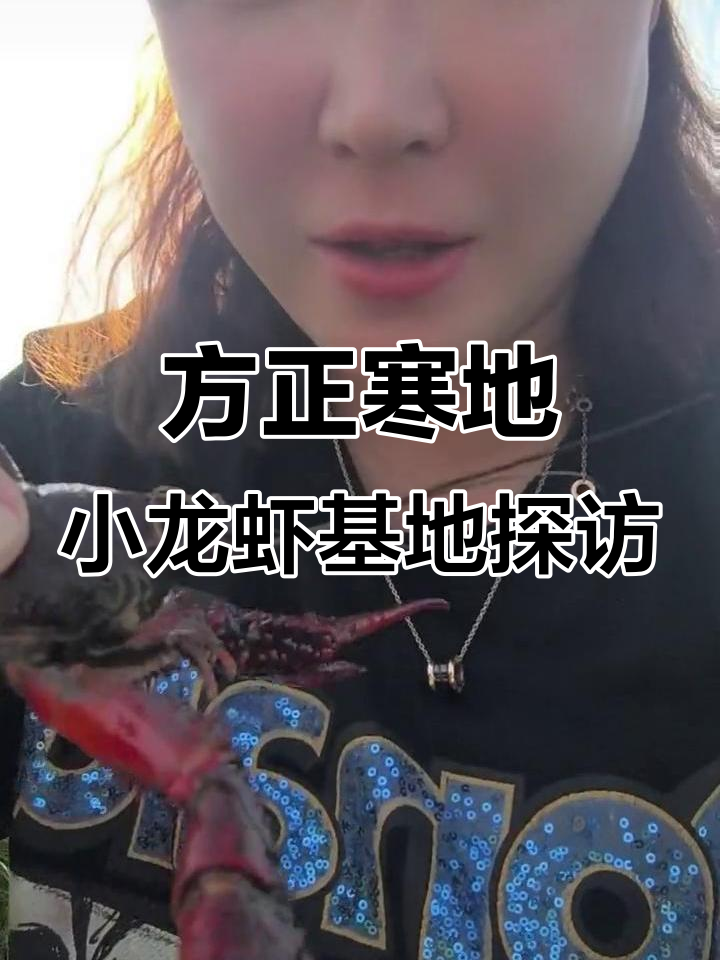 走进方正寒地小龙虾基地,揭秘繁育过程与稻田养殖技巧