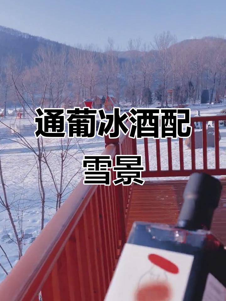 雪景与通化葡萄酒的完美搭配,冬日里的绝妙享受