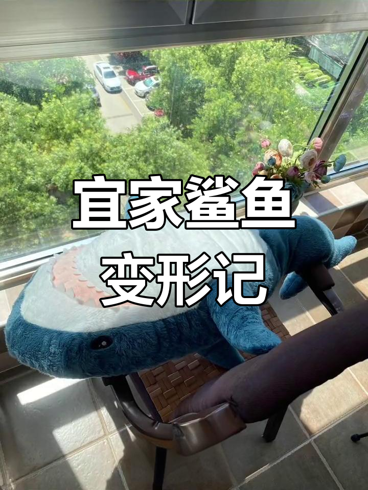 宜家鲨鱼洗澡变河豚,头型怪异笑料十足