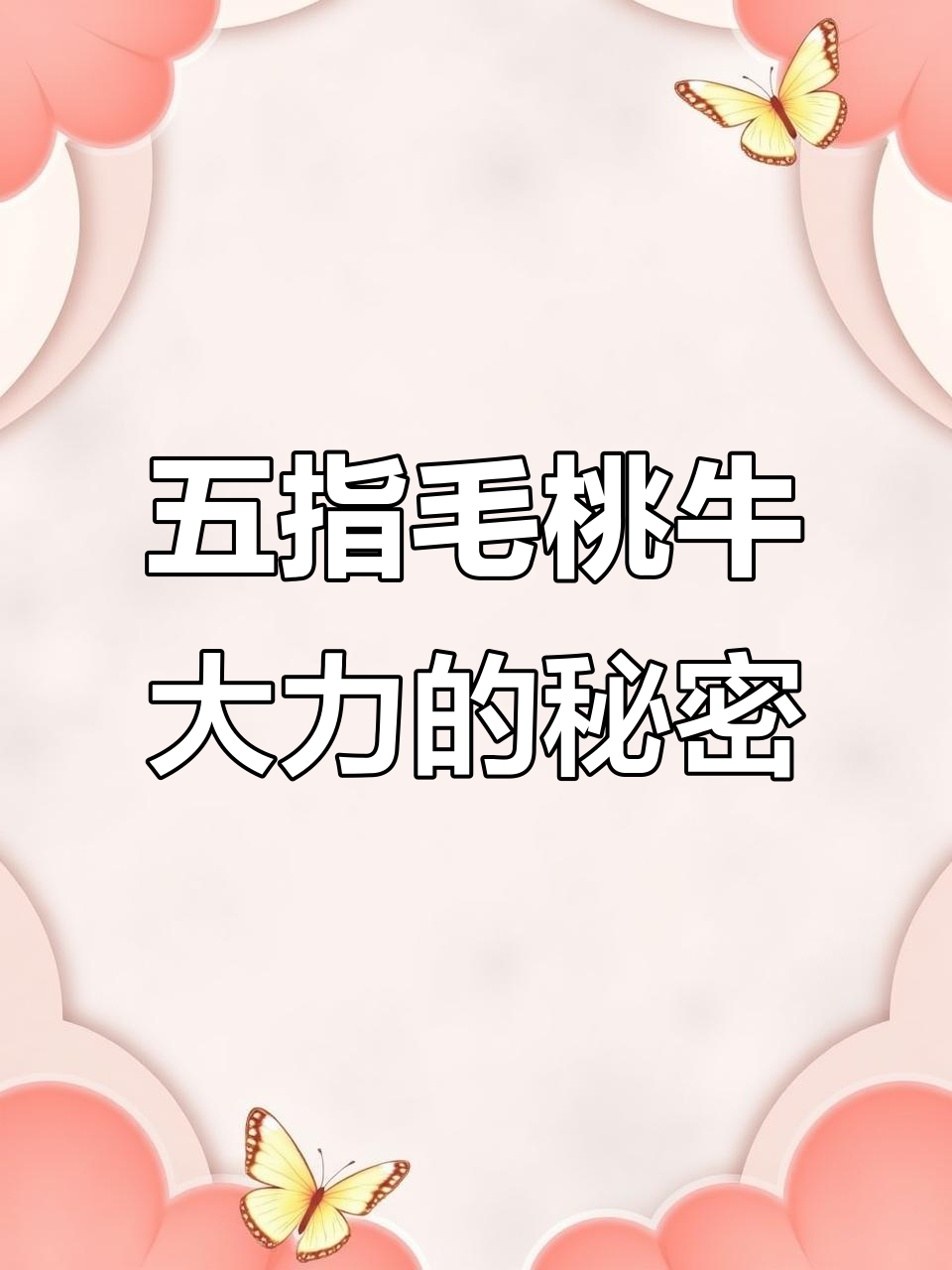 潮汕人才能懂这碗汤的独特魅力,五指毛桃牛大力揭秘