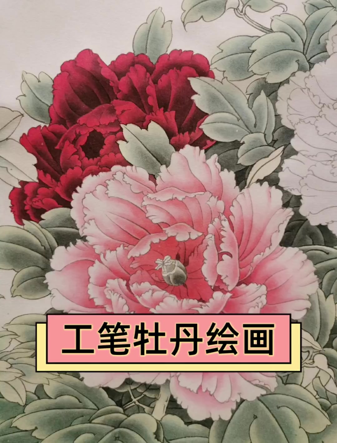 工笔牡丹绘画