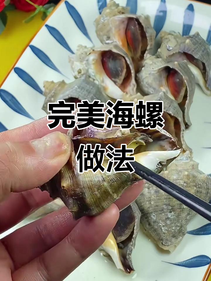 海螺煮法大揭秘，教你如何做出Q弹美味
