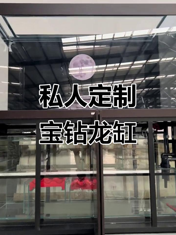 新加坡定制宝钻龙缸,新中式风格超震撼!