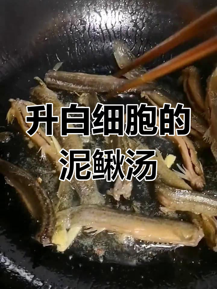 每天一碗泥鳅汤,提升白细胞效果显著