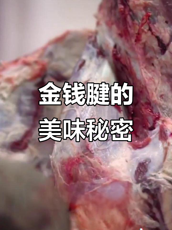 了解金钱腱:牛前腿的独特美味,火锅必备!