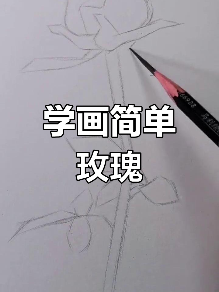 轻松学画玫瑰花,素描教程全解析
