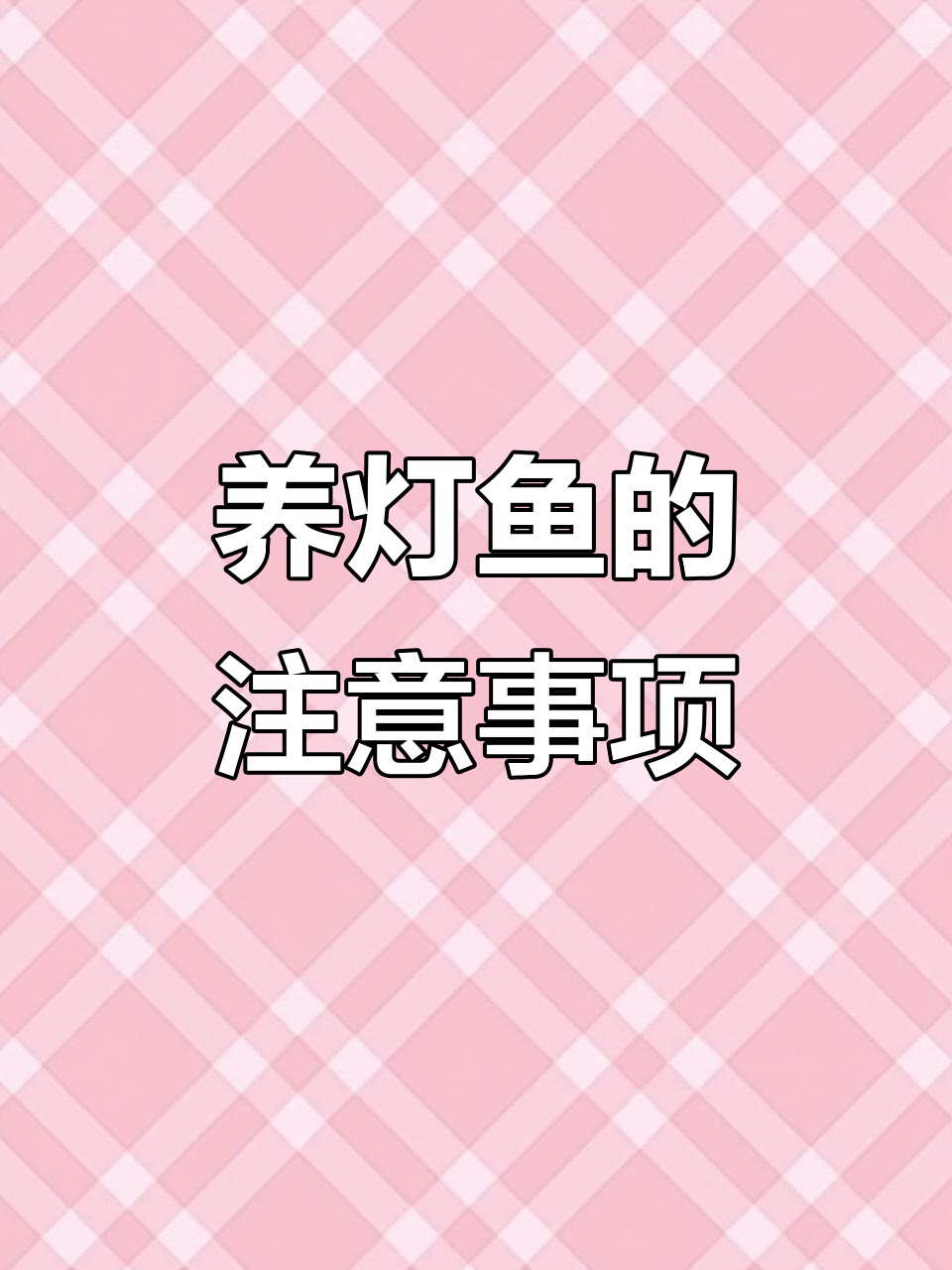 灯鱼饲养全攻略：从玻璃扯旗到迷你灯，各种品种优缺点分析