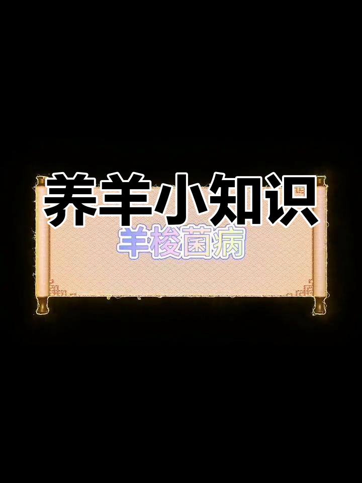 羊梭菌病防治经验分享
