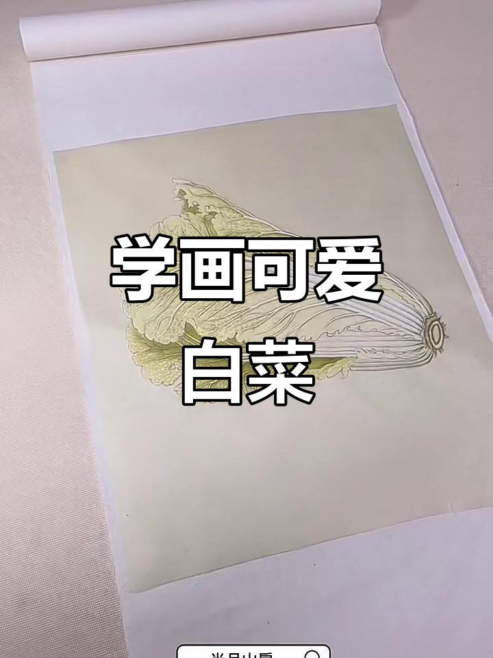 10步学会画白菜，轻松掌握色彩与纹理