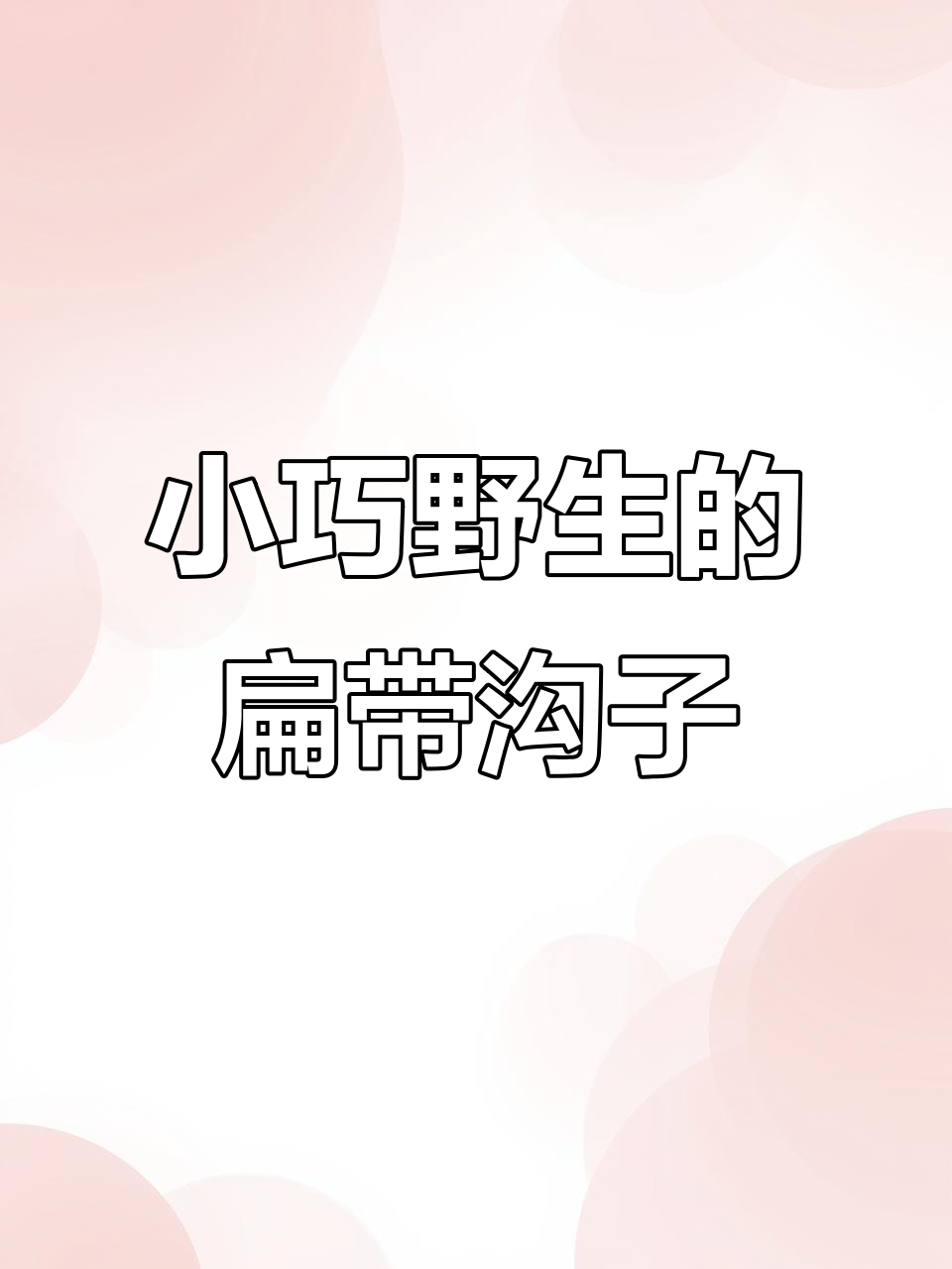 东北扁带钩子鱼，野生小鱼的独特美味
