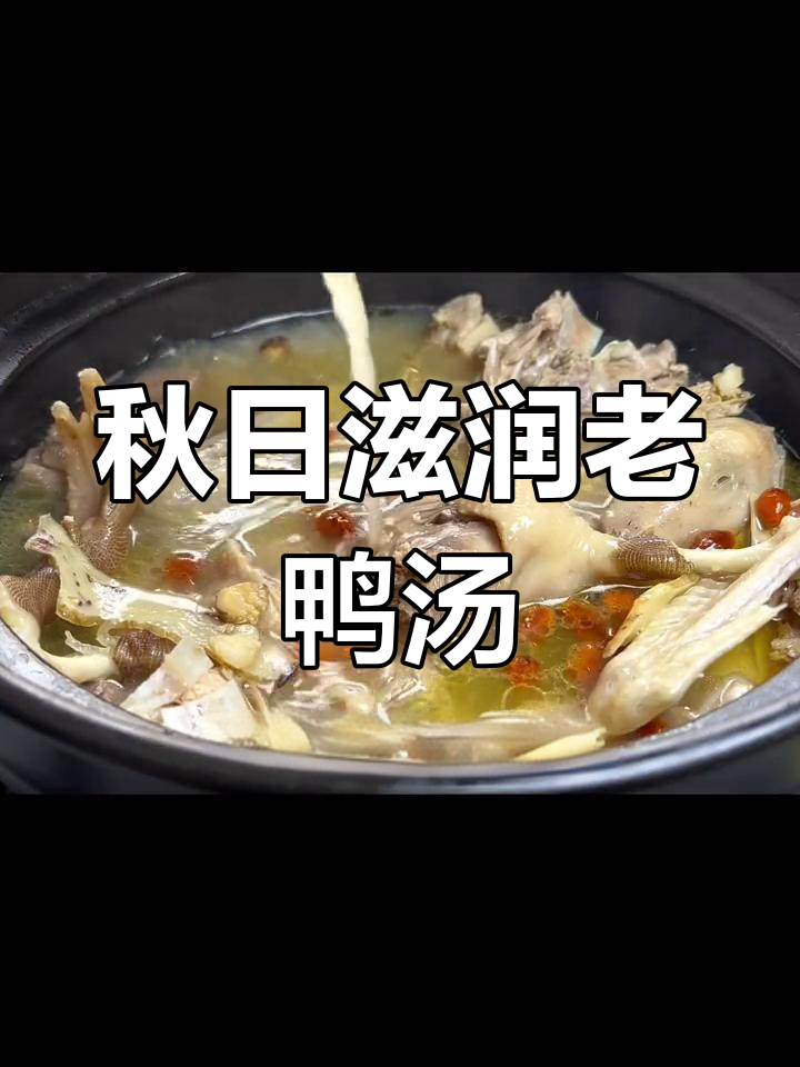 秋季润燥,老鸭汤加玉竹、沙参,滋补又美味!
