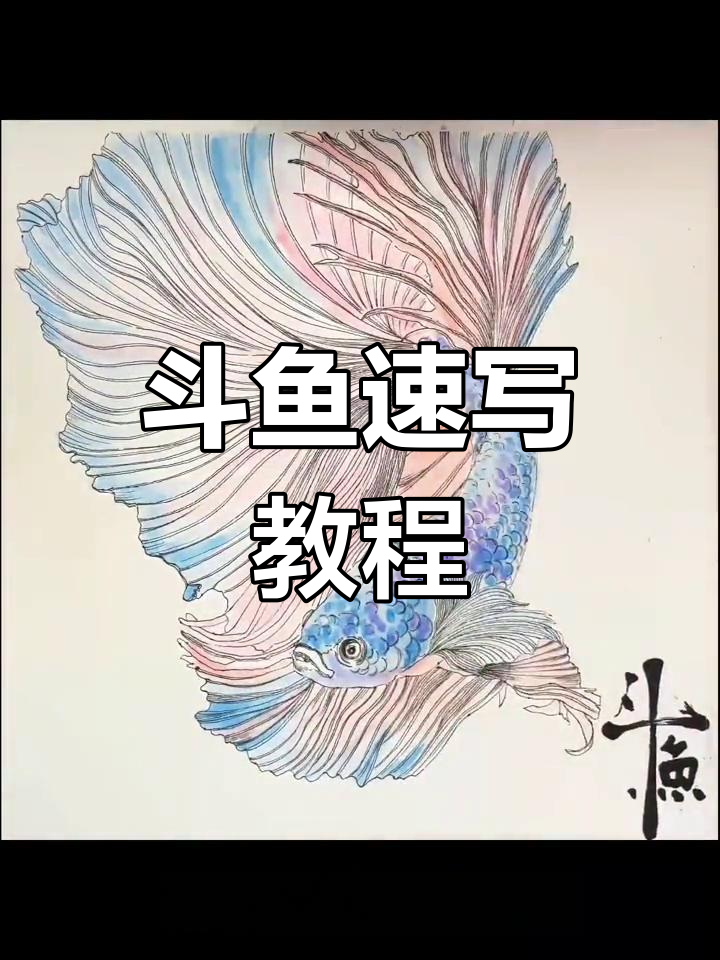 斗鱼速写技巧:曲线与疏密表现动态美