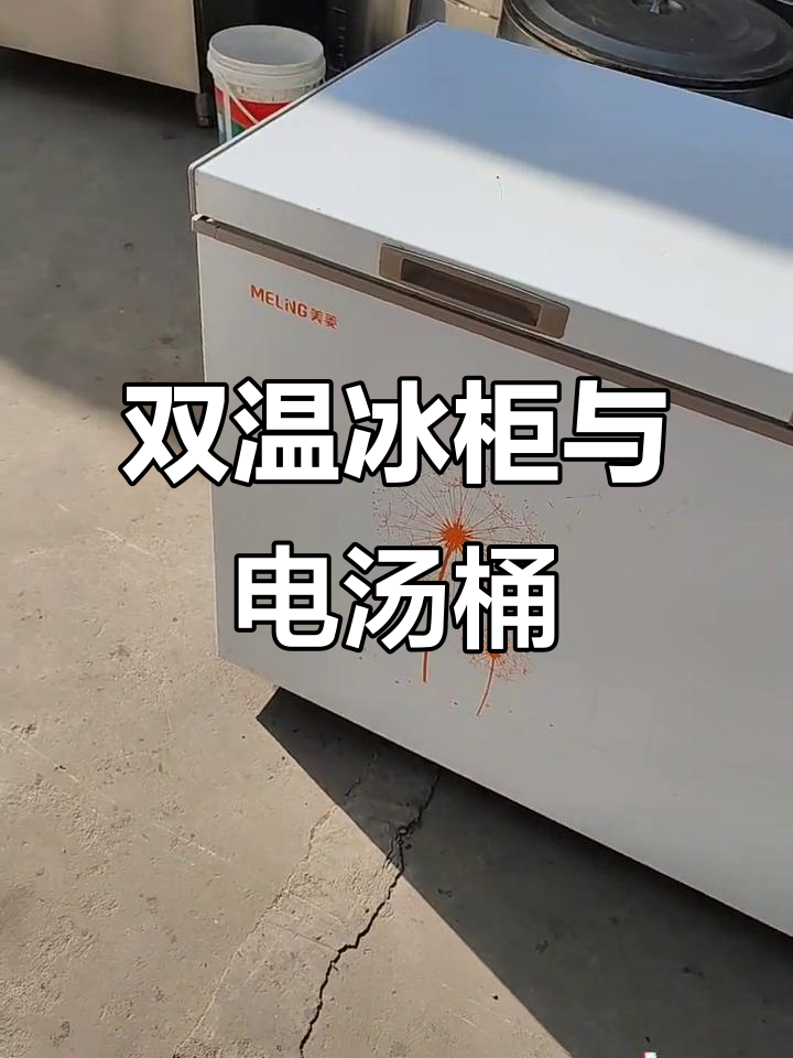 新到冰柜、电汤桶和电磁灶,双温小冰柜超实用