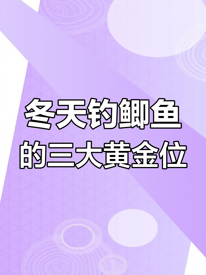 冬季钓鲫鱼的最佳位置，找到这些地方轻松暴富