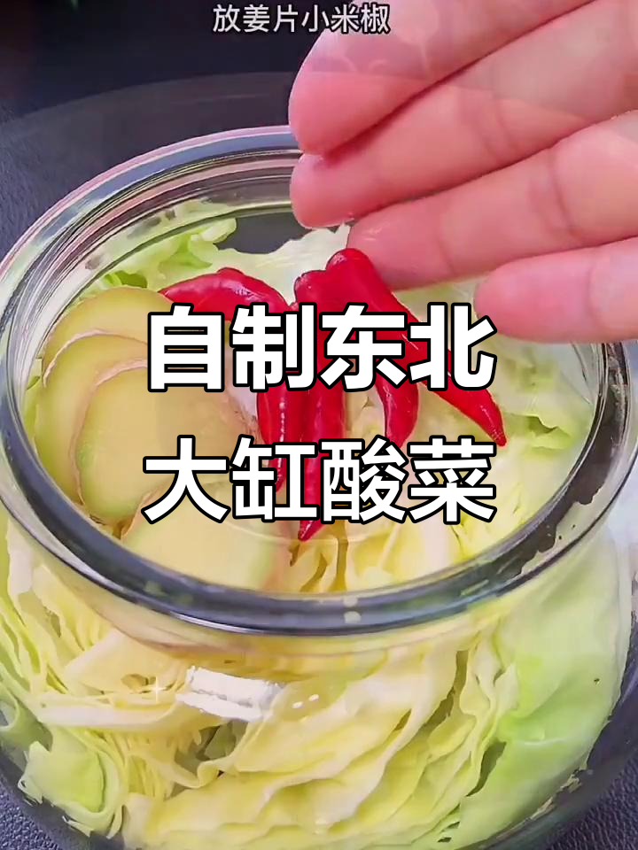 轻松在家腌制东北酸菜,脆嫩爽口,三五天就能吃