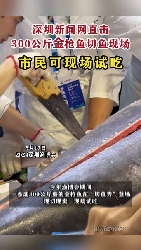 「直击300公斤金枪鱼切鱼现场」深圳渔博会这条鱼太太太太大了 今天上午,2024深圳国际渔