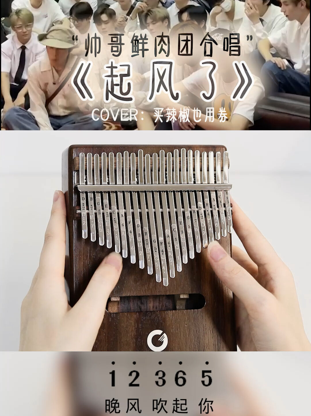 拇指琴弹奏《起风了》