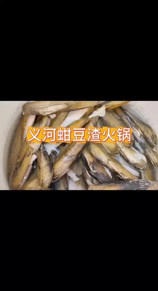 湖北特有的河蚌配上豆渣,这到菜太鲜了,特别是豆渣太好吃了,汤鲜味美