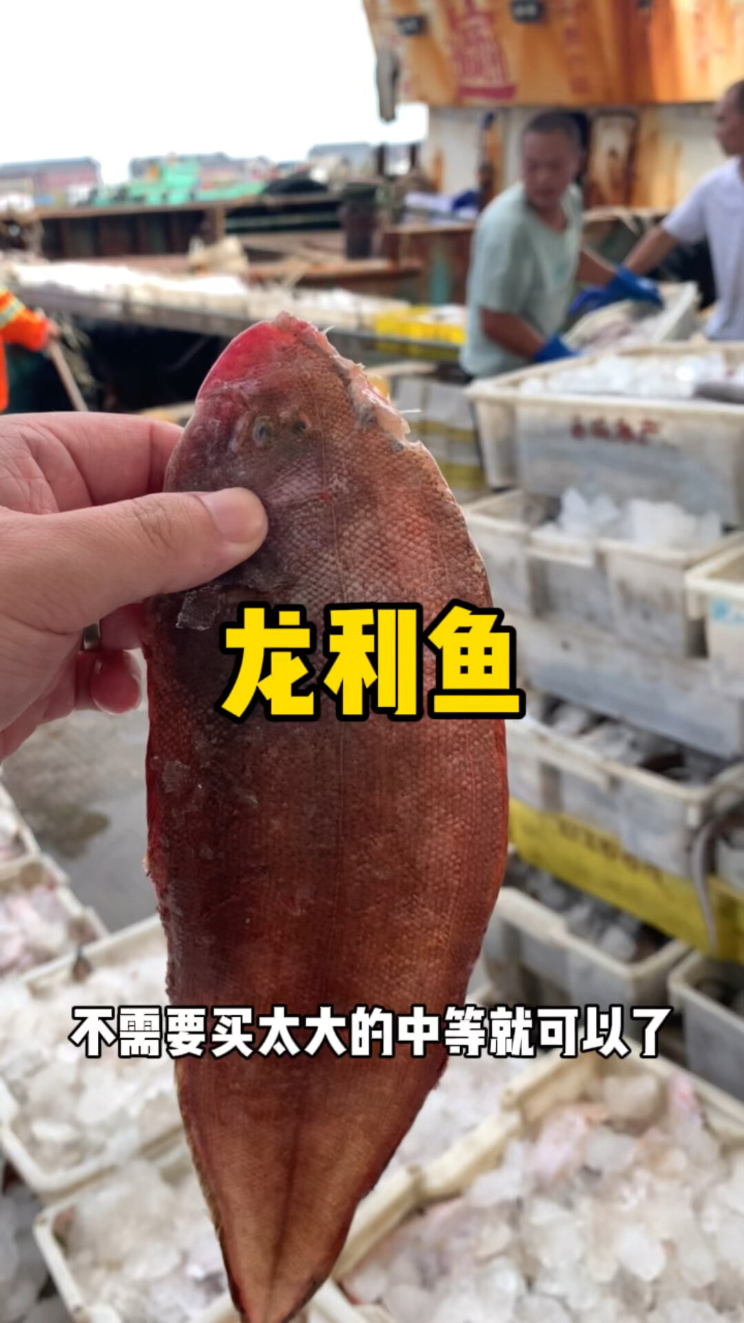 踏板鱼没有小刺,特别适合宝宝做辅食