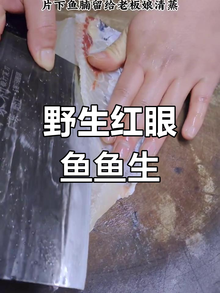 红眼鱼做鱼生,口感鲜美无比!