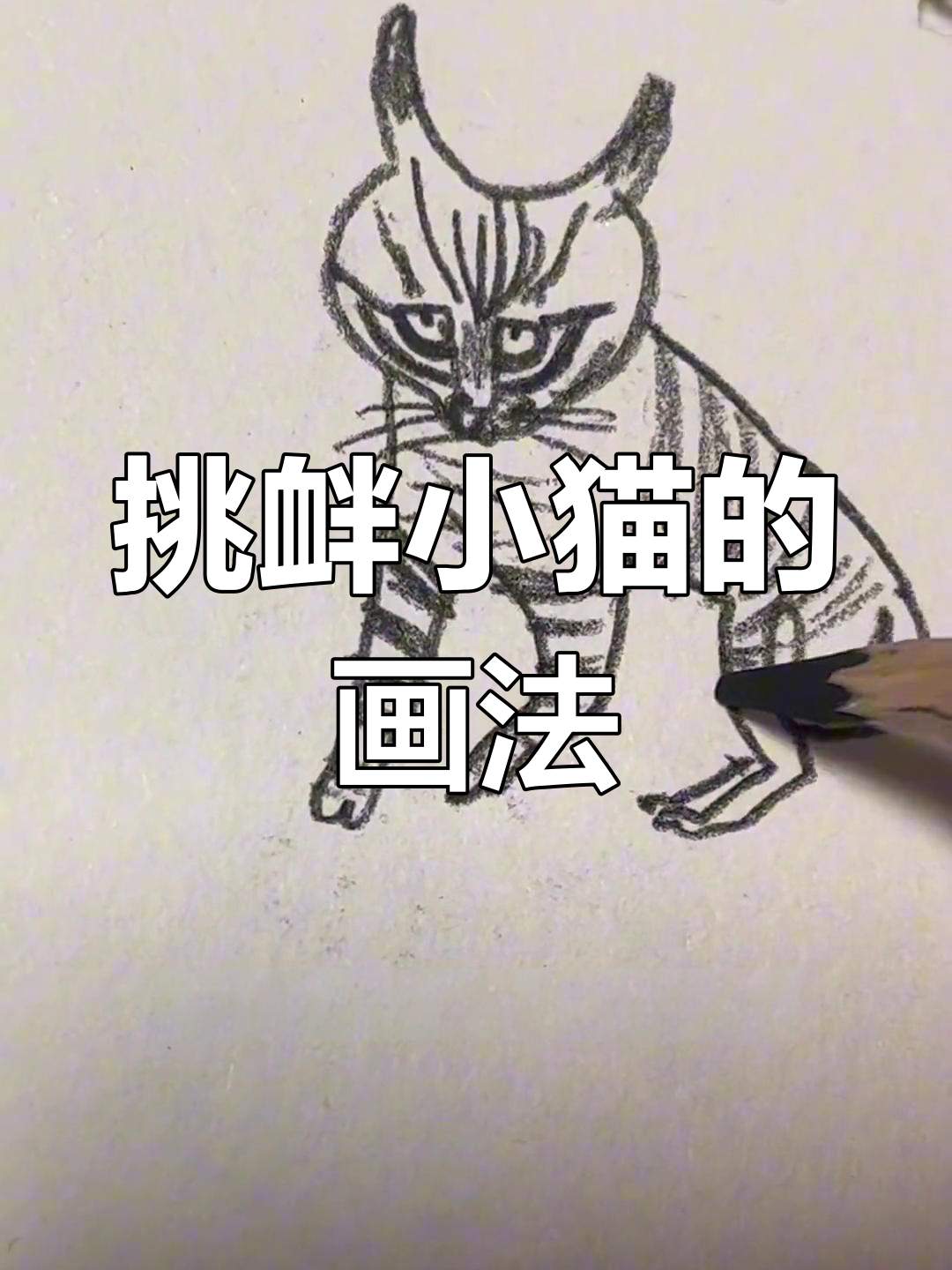 如何画一只正在打架的小猫,表情超生动!