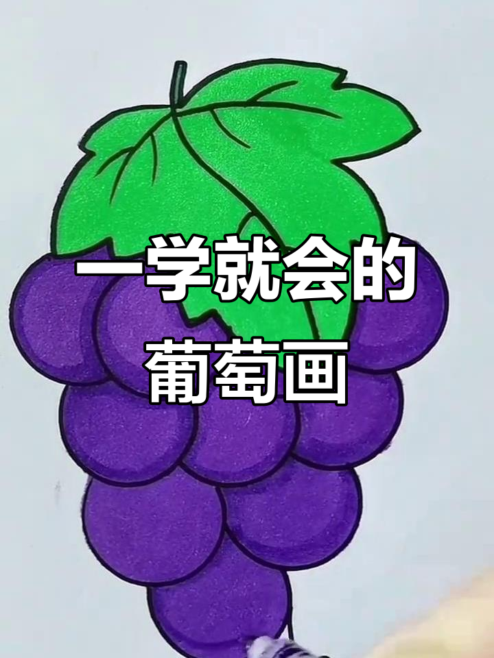 葡萄树与蜗牛的搞笑故事,轻松学会简笔画