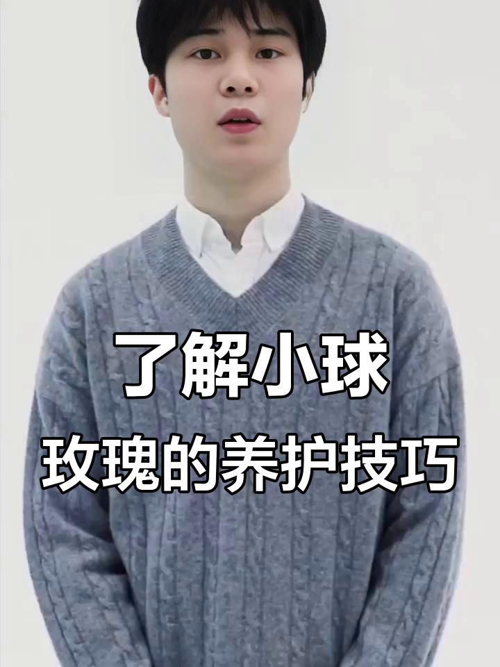 小球玫瑰生长习性揭秘：如何正确养护这类多肉植物