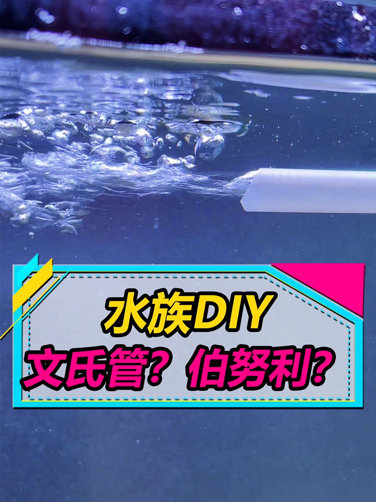 不用气泵也能鱼缸增氧,考验手的时候到了!